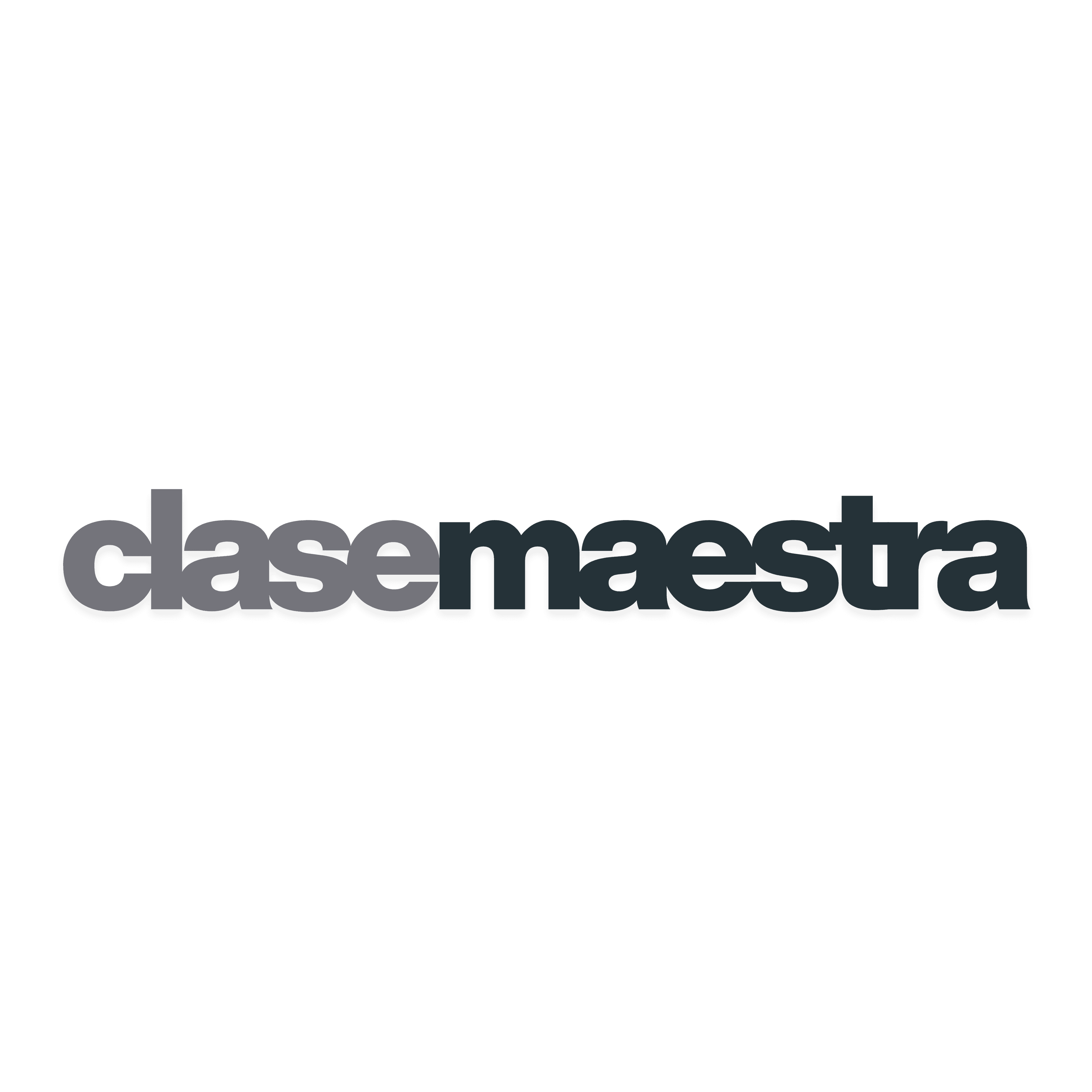 clasemaestra